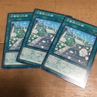 白薔薇の回廊 ノーマル