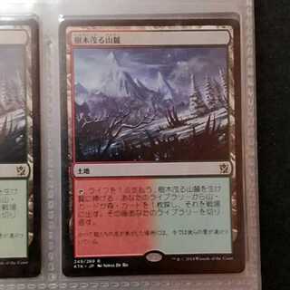 樹木茂る山麓 KTK A