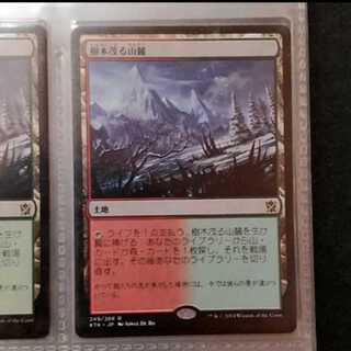 樹木茂る山麓 KTK C