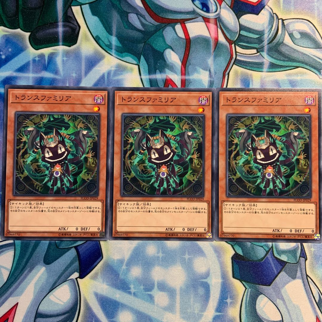 【N】トランスファミリア 3枚 FLOD-JP029