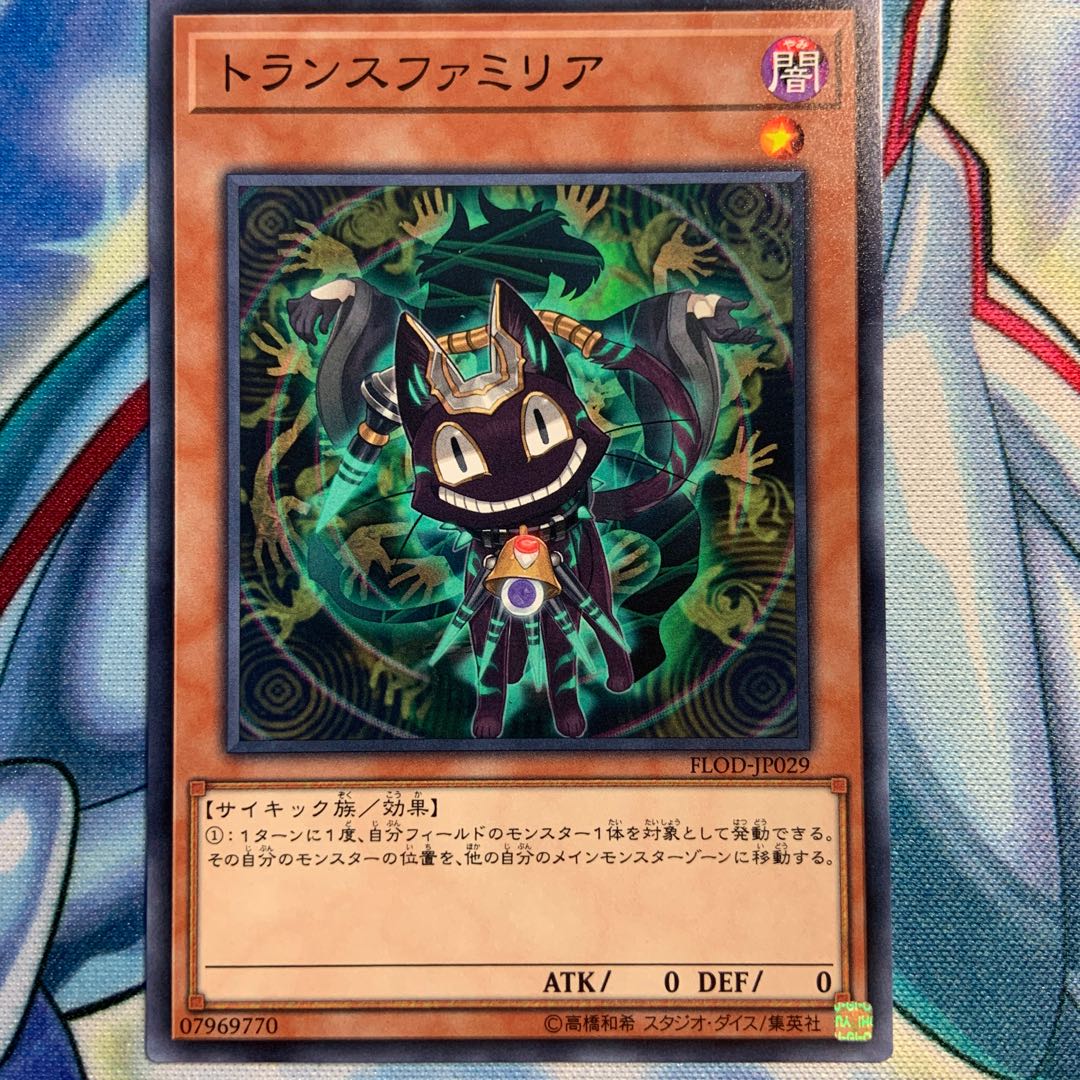 【N】トランスファミリア 3枚 FLOD-JP029