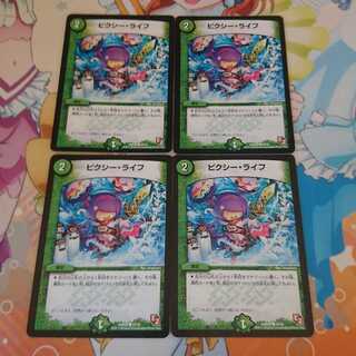 ピクシーライフ