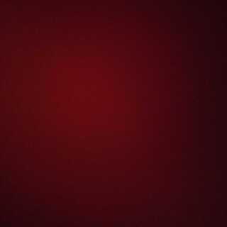 アグニマズド専用 1枚