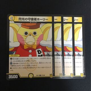 閃光の守護者ホーリー R