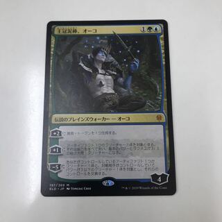 【リリアナ様専用】王冠泥棒、オーコ