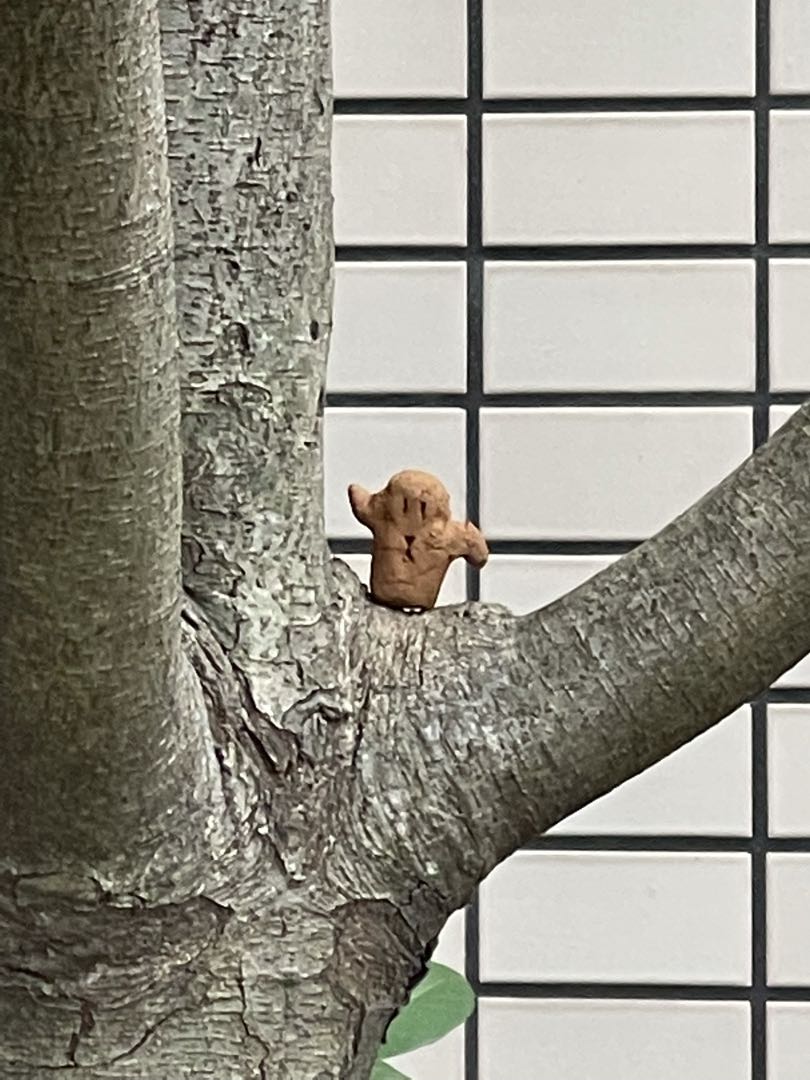 凛様専用ページ