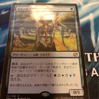 mtg 貴族の教主