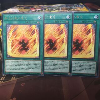 Will of the Salamangreat Rare 3 copies