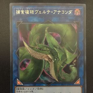 早い者勝ち　捕食植物ヴェルテアナコンダ　ウルトラ