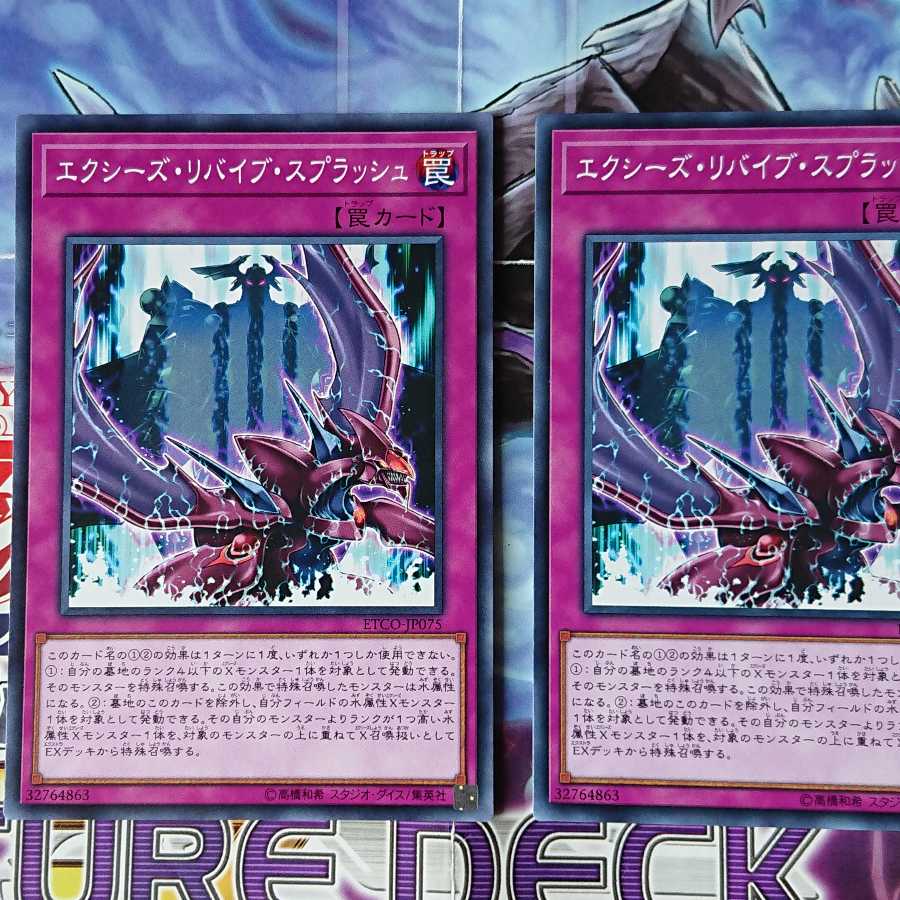 カッター・シャーク ランタン・シャーク エクシーズ・リバイブ・スプラッシュ