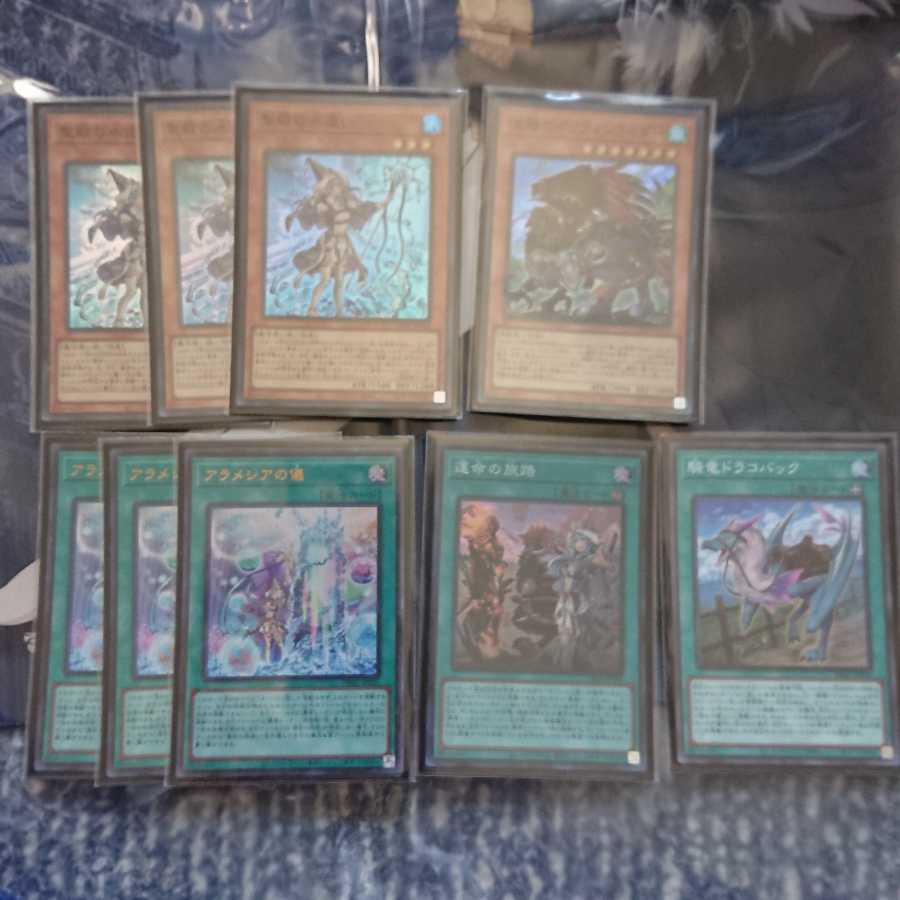 勇者  聖殿の水遣い アラメシアの儀 流離のグリフォンライダー 運命の旅路