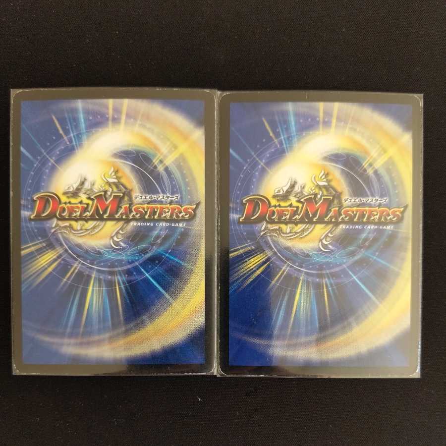 2 Kyokusenryu Violence Zapdos