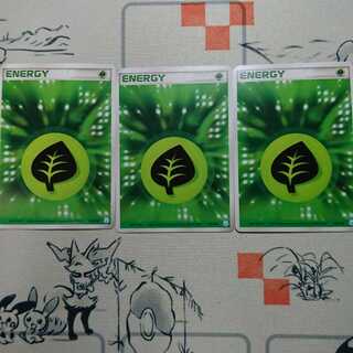 年末年始特価！基本草エネルギー(クイック)3枚セット