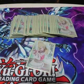 ポケカ リーリエ スリーブ