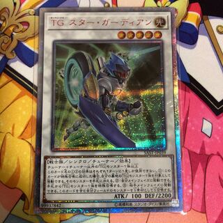 TGスターガーディアン　テックジーナス