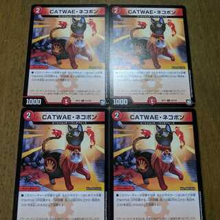 CATWAEネコボン 4枚