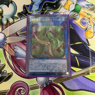 捕食植物ヴェルテアナコンダ