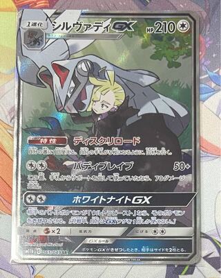 シルヴァディGX