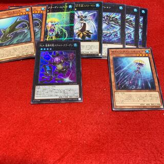 No.4 猛毒刺胞ステルス・クラーゲン