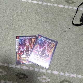 瞬閃と疾駆と双撃の決断