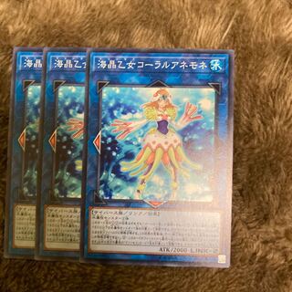 マドレース16海晶乙女コーラルアネモネ ノーマル