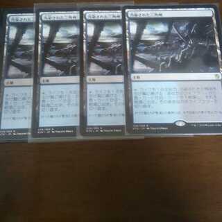 汚染された三角州　最安値