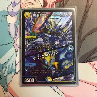 天命龍装ホーリーエンド