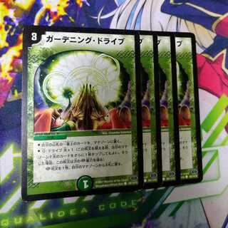 Gardening and driving 2510