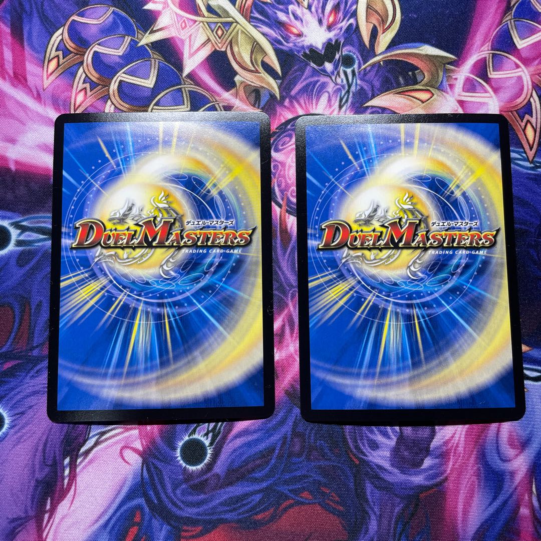 「雷光の聖騎士」