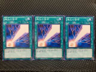 【ぽぽたん】遊戯王 9327 進化の宿命 3枚 ノーマル