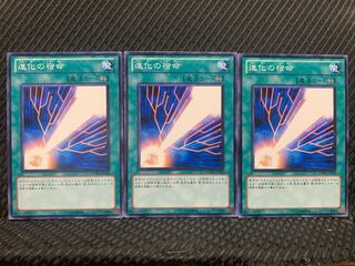 【ぽぽたん】遊戯王 7154 進化の宿命 3枚 ノーマル