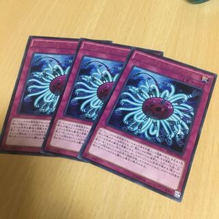 バージェストマ・ディノミスクス レア