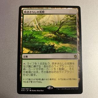 吹きさらしの荒野