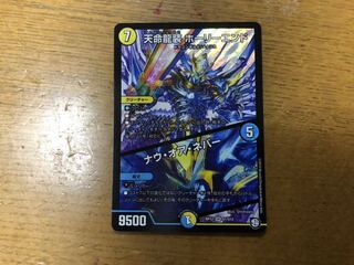 天命龍装ホーリーエンド／ナウオアネバー