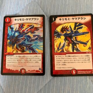 専用！キリモミヤマアラシ×2