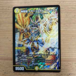 神聖龍 エモーショナル・ハードコア