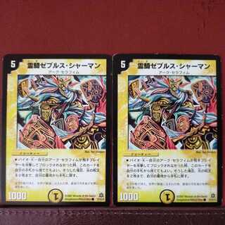 mri6943 set discount spirit rider zebrus shaman