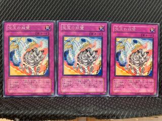 【ぽぽたん】遊戯王 3833 宝玉の双璧 3枚 レア