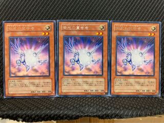 【ぽぽたん】遊戯王 1266 紫光の宣告者 3枚 レア