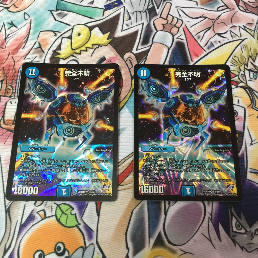 完全不明 2枚セット