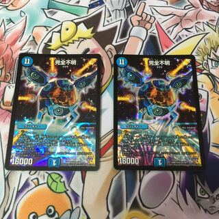 完全不明 2枚セット