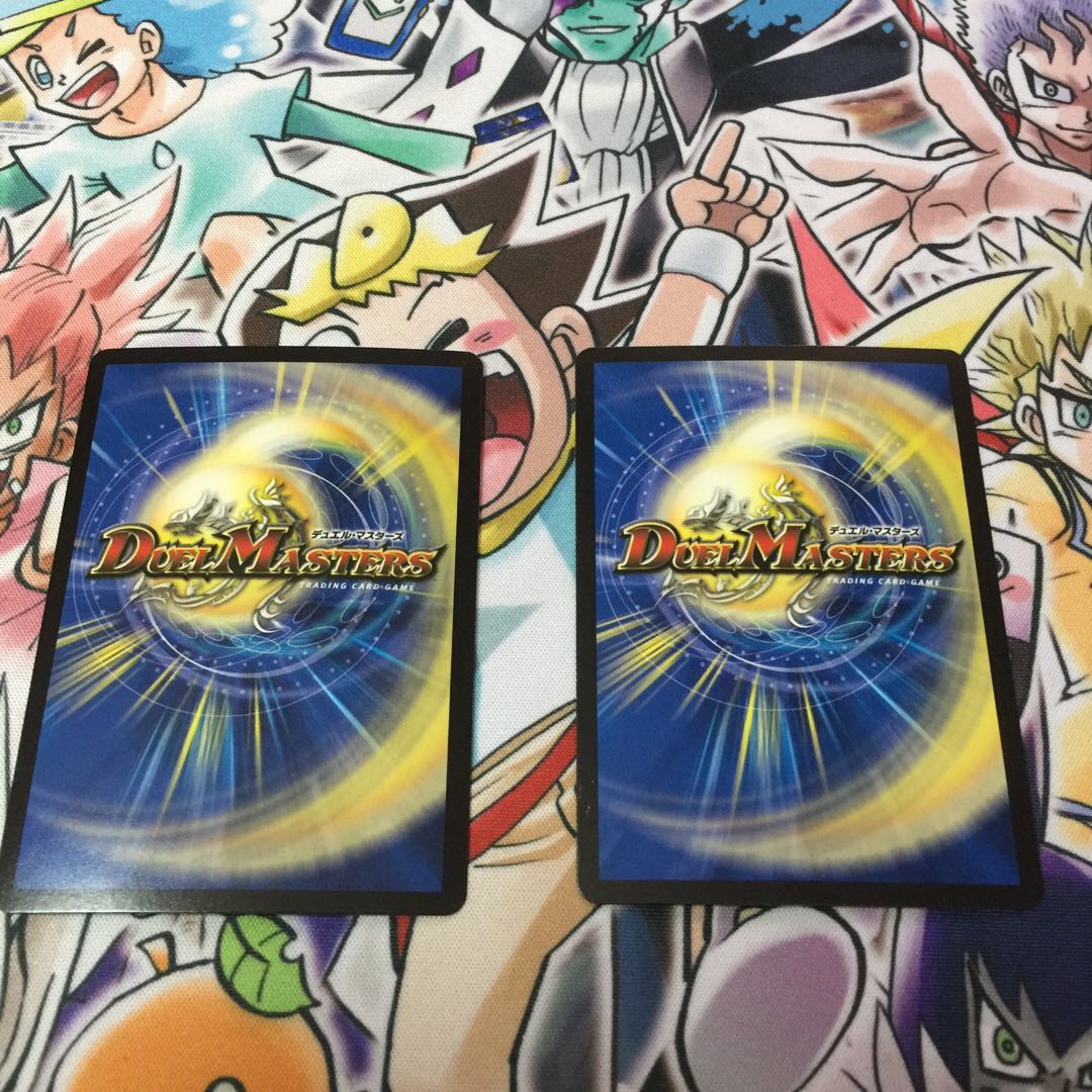 完全不明 2枚セット