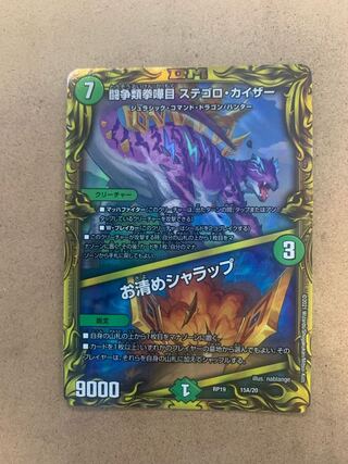 闘争類拳嘩目 ステゴロ・カイザー｜お清めシャラップ