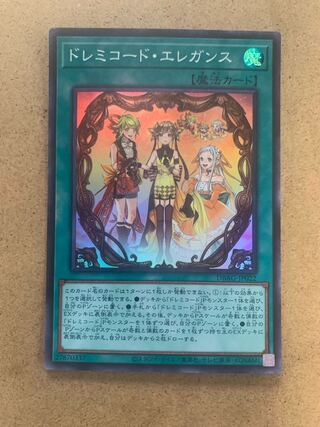 Solfachord Elegance Super Rare