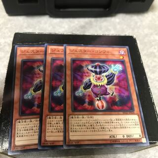 ジェスター・コンフィ ノーマル3枚