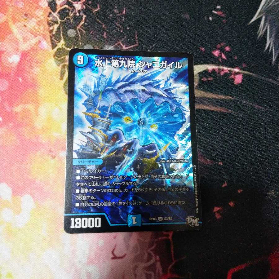 年末特価！水上第九院 シャコガイル