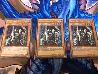 スカルマイスター  EU シク