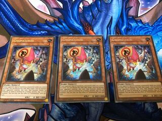 ノーマテリア EU シク