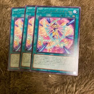 マドレース119LL-バード・サンクチュアリ レア