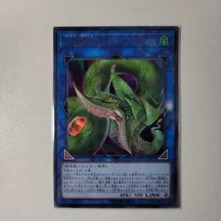 捕食植物ヴェルテ・アナコンダ ウルトラレア